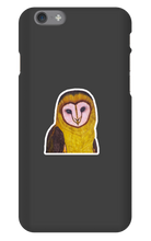 Barn Owl iPhone Phone Cases