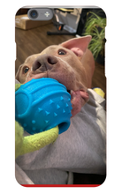 doggoasmr iPhone Phone Cases