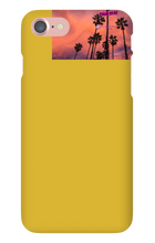 palm seas limited case