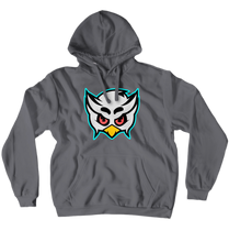 Hoodies (No-Zip/Pullover)