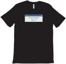 Stupidity Question Shirt