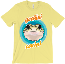 Gechini Carini - Colori accesi