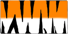 tygrys bengal cs:go