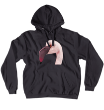 Hoodies (No-Zip/Pullover) flamenco