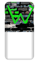 se-2494680 iPhone Phone Cases