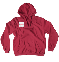 darkmoney_10 Hoodies (No-Zip/Pullover)