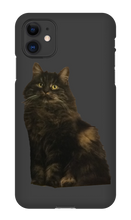 katten23cool iPhone Phone Cases