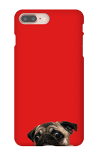 pugzzz iPhone Phone Cases