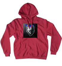 Ej Hoodies (No-Zip/Pullover)