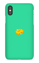lil_sponge2 iPhone Phone Cases