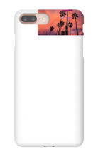 palm seas limited case