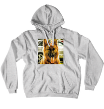 The dexter hoodie (No-Zip/Pullover)