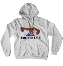 Curious Davidson Hoodies (No-Zip/Pullover)