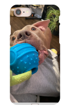 doggoasmr iPhone Phone Cases