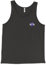 Skii vests