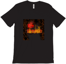 firedragon101 T-Shirts