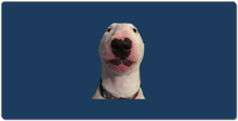 Walter XXL Gaming Mousepad