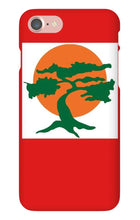 hudzo1sccool iPhone Phone Cases