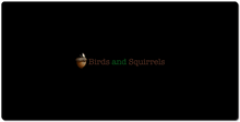birds_and_squirrels XXL Gaming Mousepad