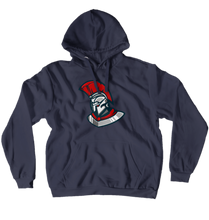 Centurion Networks Hoodies (No-Zip/Pullover)