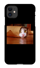 Funny Taco Cat Iphone Case