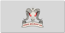 stakebelmont64 XXL Gaming Mousepad
