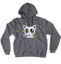 Hoodies (No-Zip/Pullover)