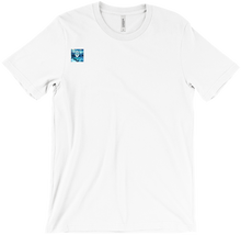 fuzionsnow12 T-Shirts
