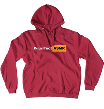 Naughty Puurrfect Hoodie (No-Zip/Pullover)