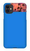 palm seas limited case