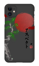 aspect702 iPhone Phone Cases