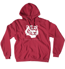 gamingstripesplays Hoodies (No-Zip/Pullover)