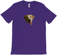 SHINER DOGGO