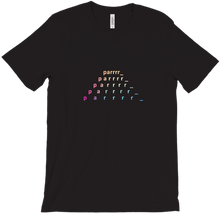 parrrr_ Pyramid T-Shirts