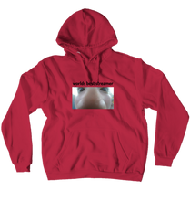 worlds best streamer hoodie
