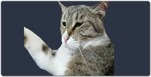 antontv_2k XXL Gaming Mousepad