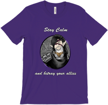 voicesofrobert T-Shirts