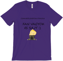 csaknezlekbysajthack2 fan vagyok póló