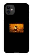 Aidan Rockel-Bigus iPhone Phone Cases