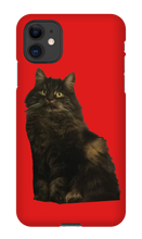 katten23cool iPhone Phone Cases