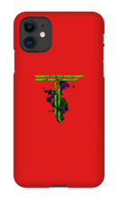 TurtleTV iPhone Cases