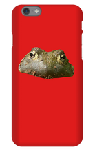pistolpete2k iPhone Phone Cases