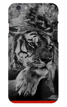 swyzz_jolino iPhone Phone Cases