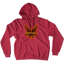 ayyfam Hoodies (No-Zip/Pullover)