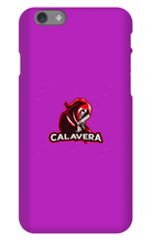 Funda de iPhone