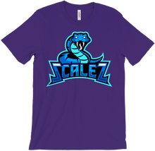 scaleztv T-Shirts