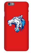 djwilko iPhone Phone Cases