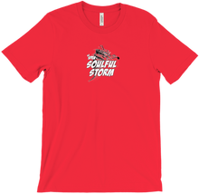 SOULFUL STORM T-Shirts