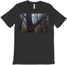 Saturated Tree