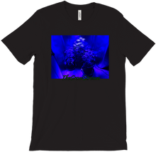 The OG T